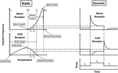 Thermal illusions for thermal displays: a review